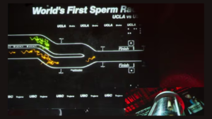 Los Angeles Sperm Race 2025